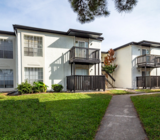 Find An Apartment Dominium Apartments